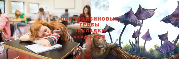 гашик Бородино