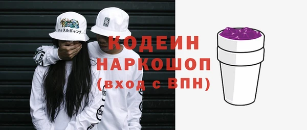 гашик Бородино