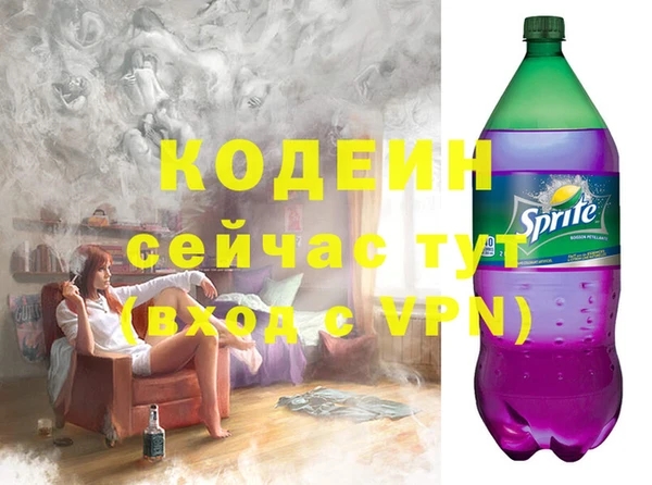 гашик Бородино