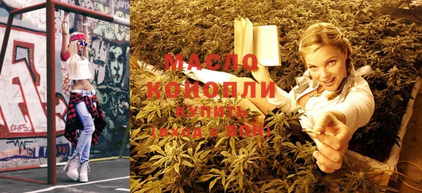 гашик Бородино