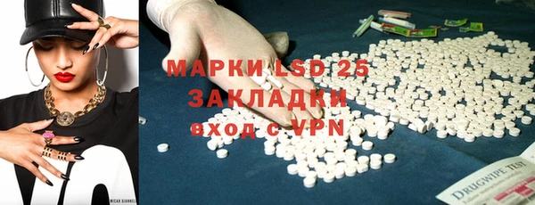 гашик Бородино