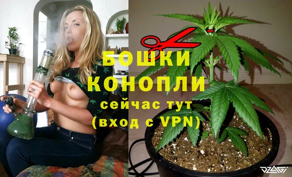 гашик Бородино