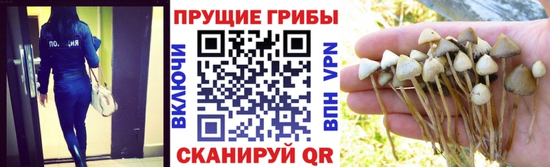 Псилоцибиновые грибы мицелий  Купить закладки  Воскресенск 